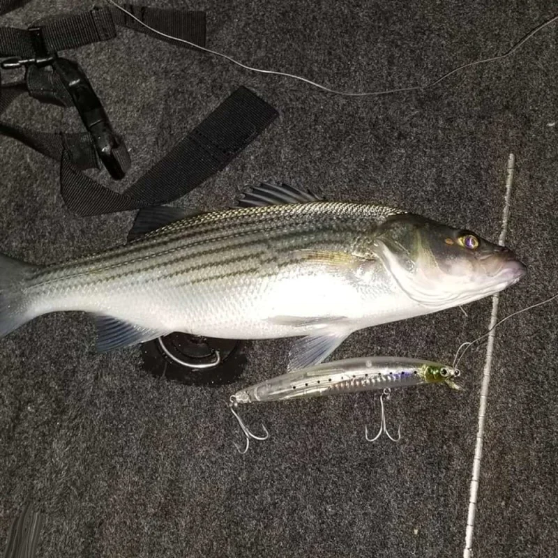 Воблер DAIWA Salt Pro Minnow 17S 17cm 53g