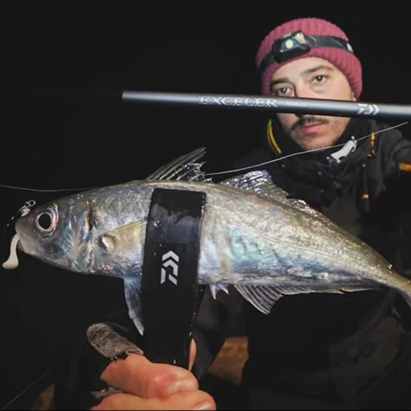 DAIWA 25 Exceler 802 XHFS 244cm 20-60g