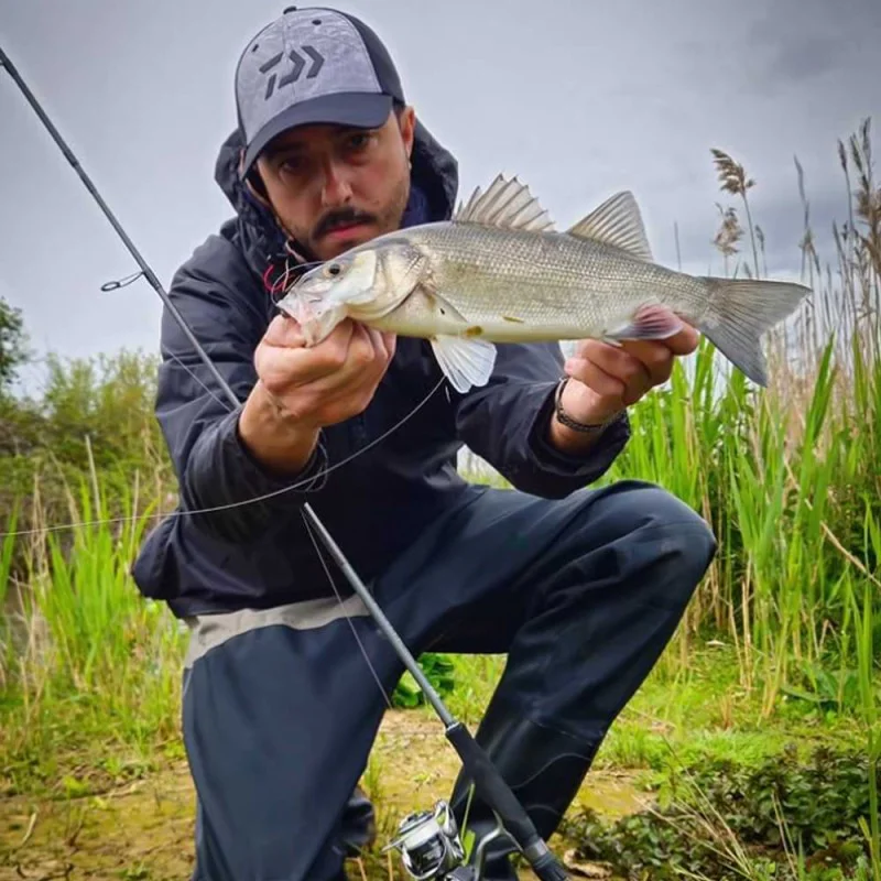 DAIWA 25 Exceler 802 XHFS 244cm 20-60g