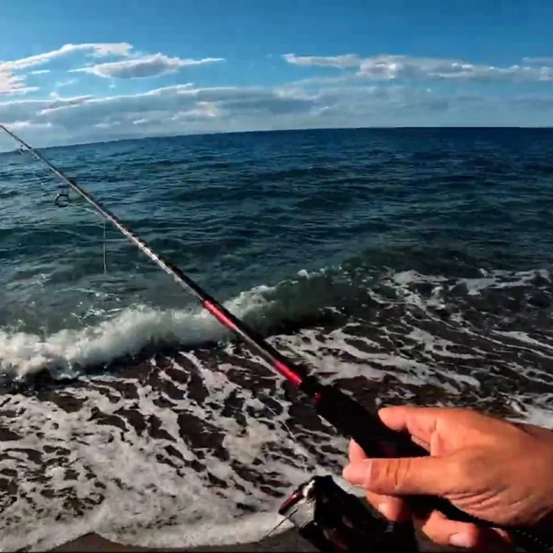 Спининг въдица DAIWA 23 Ninja Spin 802 MFS 244cm 10-30g