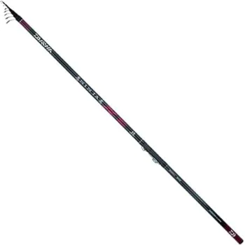 Въдица DAIWA 19 Ninja Bolo 60 - 6m