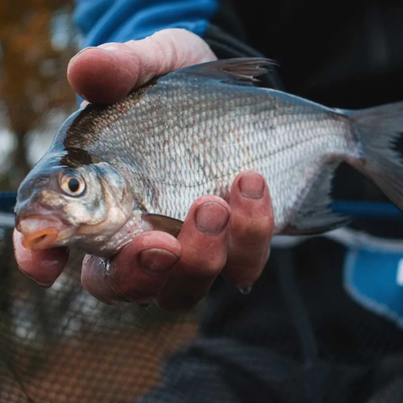 Глава за кеп DAIWA NZon Fast Flow Landing Net Head 55x45cm