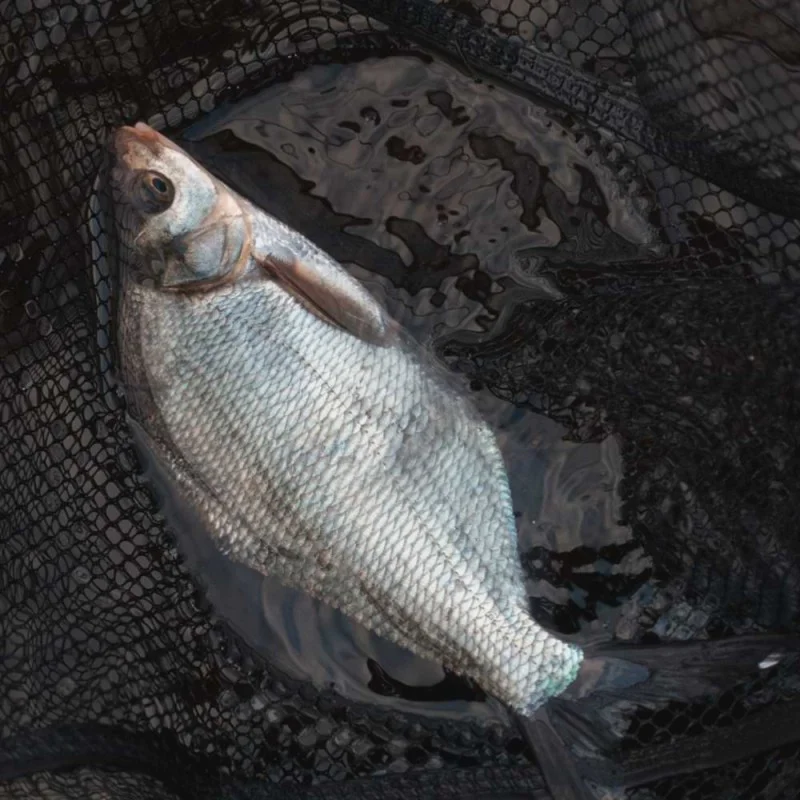 Глава за кеп DAIWA NZon Fast Flow Landing Net Head 55x45cm