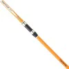 Сърф кастинг въдица DAIWA Proteus Surf Tele 360cm 50 - 100g
