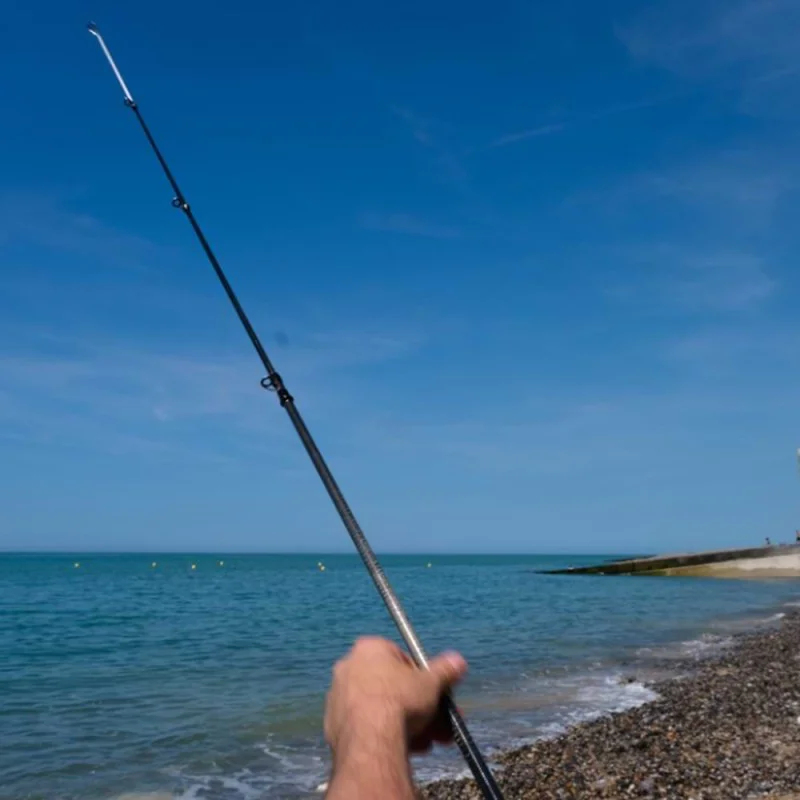 Сърф кастинг въдица DAIWA Proteus Surf Tele 360cm 50 - 100g