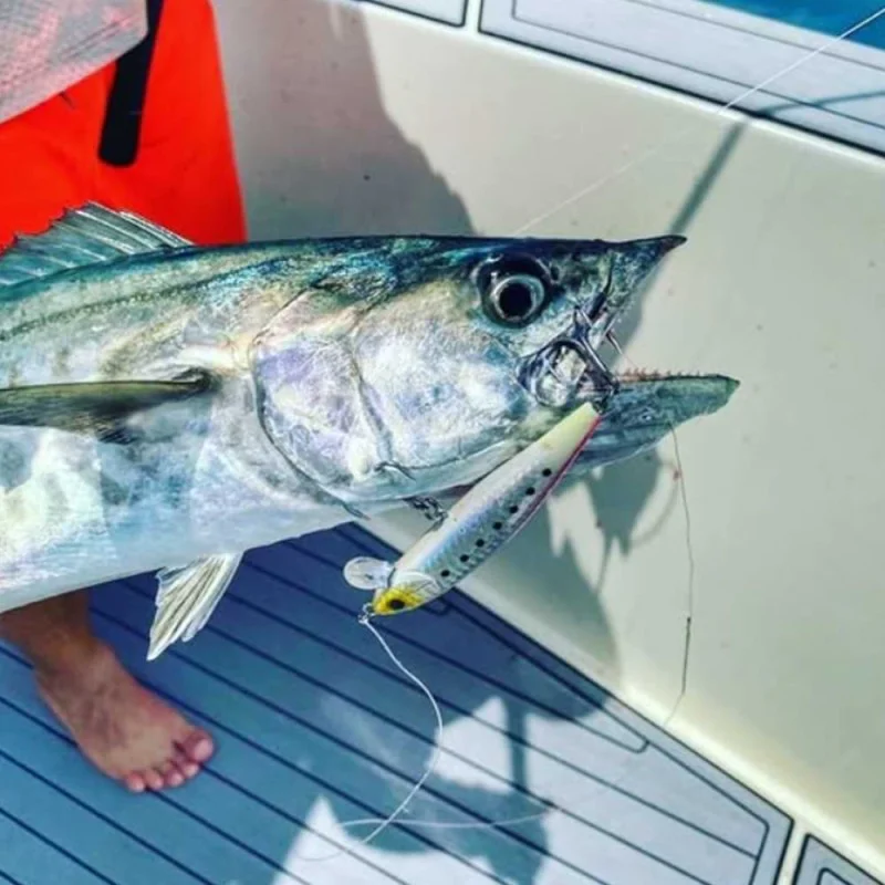 Воблер DAIWA Sagosee Z 95HS 95mm 28g Heavy Sinking