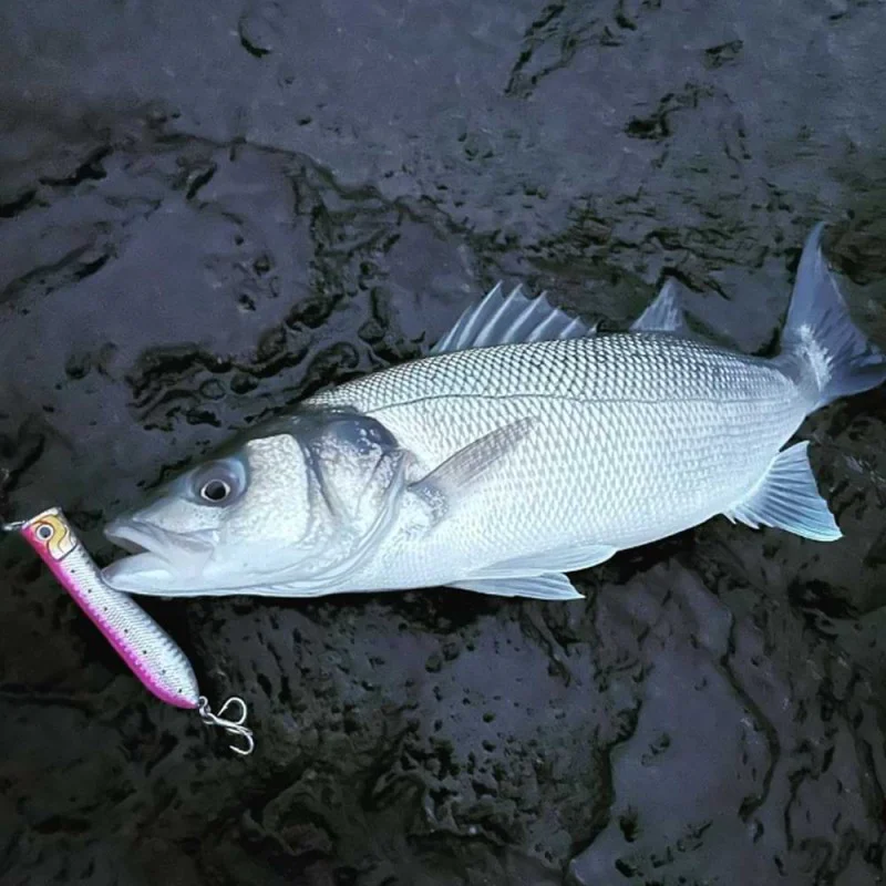 Попер DAIWA Salty Pop 110F 110mm 20g Floating