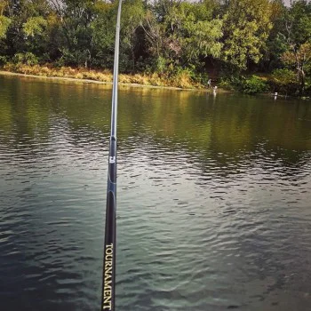 Въдица DAIWA Tournament AGS Limited 60 Regular Bolo