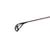Шаранджийска въдица DELPHIN Etna LEGEND4RY 2 parts 380cm 3.5lb