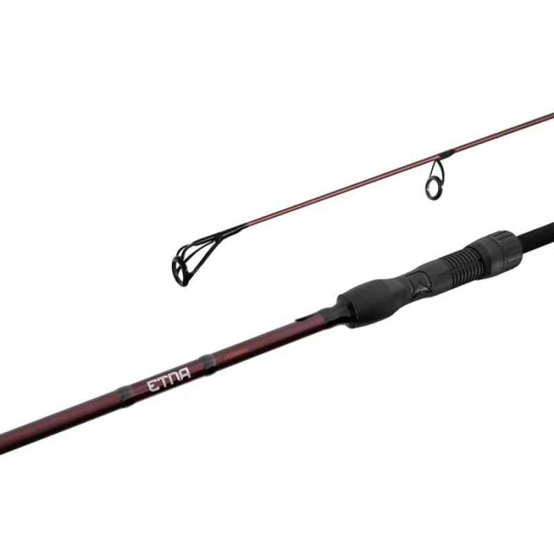 Шаранджийска въдица DELPHIN Etna LEGEND4RY 2 parts 380cm 3.5lb
