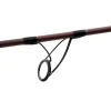 Шаранджийска въдица DELPHIN Etna LEGEND4RY 2 parts 380cm 3.5lb