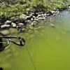 Въдица за захранване DRENNAN Acolyte Bait Up Rod 10ft
