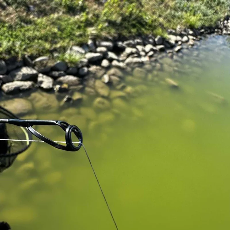 Въдица за захранване DRENNAN Acolyte Bait Up Rod 10ft