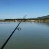 Въдица за захранване DRENNAN Acolyte Bait Up Rod 10ft