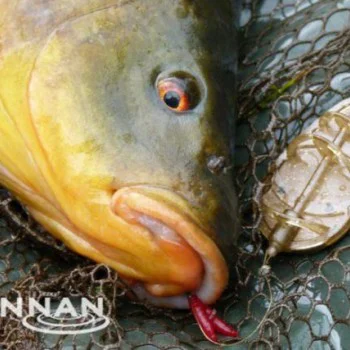 Метод хранилка и преса DRENNAN Flat Feeder and Mould Small