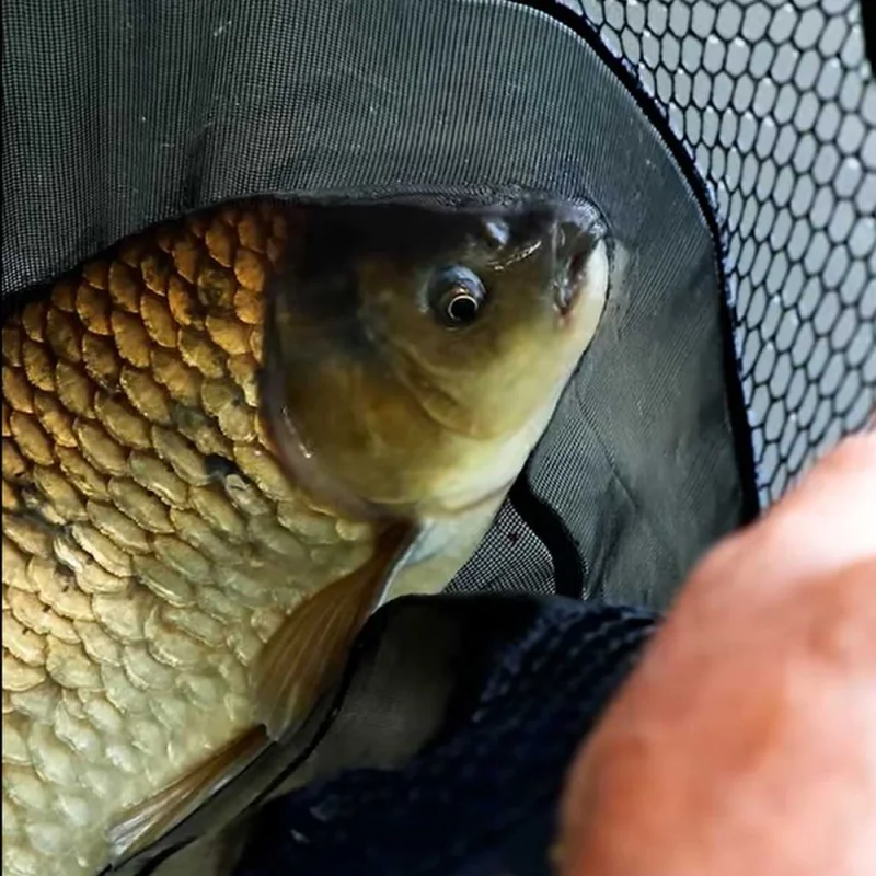 Глава за кеп DRENNAN Acolyte Carp Mixed Mesh Landing Net 51cm