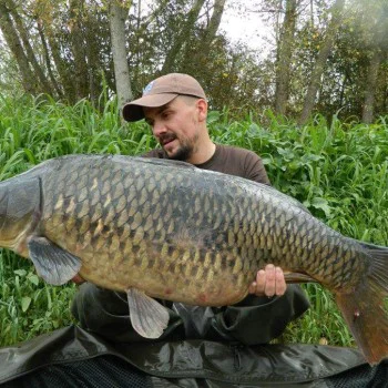 Пробити пелети DYNAMITE BAITS The Source Pre Drilled Pellets