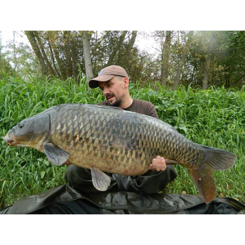 Пробити пелети DYNAMITE BAITS The Source Pre Drilled Pellets