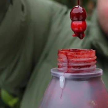 Дип - атрактант DYNAMITE BAITS Robin Red Dip