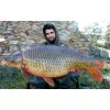 Протеинови топчета DYNAMITE BAITS The Source Boilies 26mm 350g