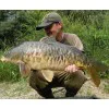 Протеинови топчета DYNAMITE BAITS Mulberry Plum Boilies 1kg