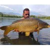 Протеинови топчета DYNAMITE BAITS Mulberry Plum Boilies 1kg