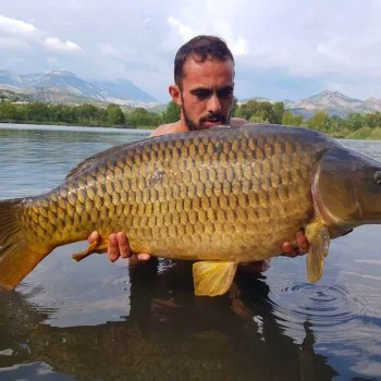 Протеинови топчета DYNAMITE BAITS Mulberry Plum Boilies 1kg