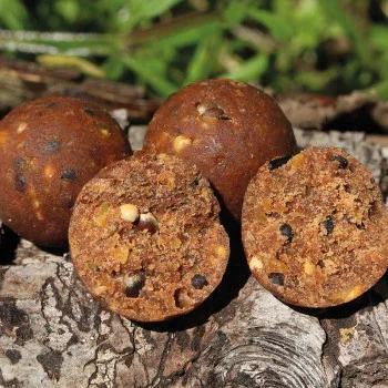 Протеинови топчета DYNAMITE BAITS CompleX-T Boilies 26mm