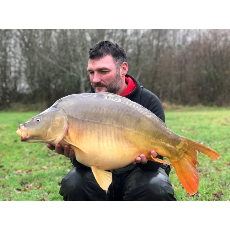 Стръв DYNAMITE BAITS The Crave Hard Hookbaits 20mm