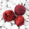 Протеинови топчета DYNAMITE BAITS Robin Red Boilies 26mm 1kg