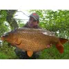Протеинови топчета DYNAMITE BAITS Robin Red Boilies 1.8kg