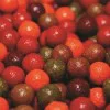 Протеинови топчета DYNAMITE BAITS Tutti Frutti Carp Tec Boilies 20mm 1.8kg