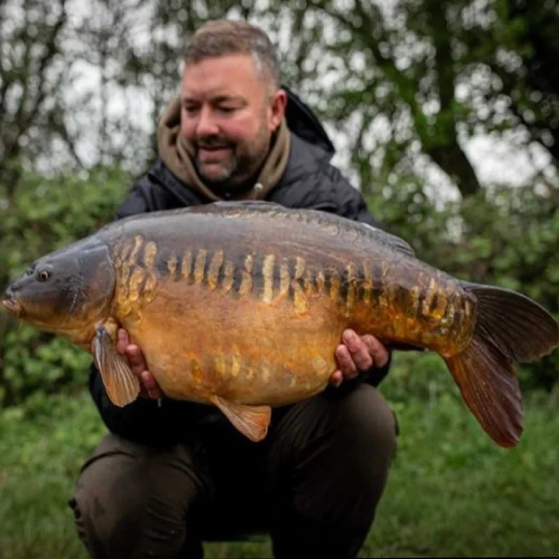 Протеинови топчета DYNAMITE BAITS Chocolate Orange Carp Tec Boilies 15mm 1.8kg
