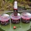 Ароматизиращ спрей DYNAMITE BAITS Ian Russells Spray Sweet Spice 30ml