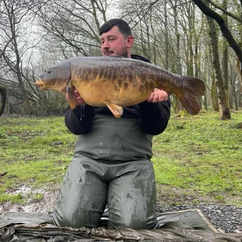 Стръв за Zig Rig DYNAMITE BAITS N-Ticers Zig Hookbaits Black & Yellow