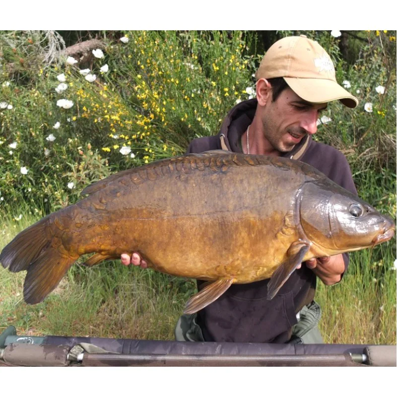 Протеинови топчета DYNAMITE BAITS Monster Tiger Nut Boilies 1kg