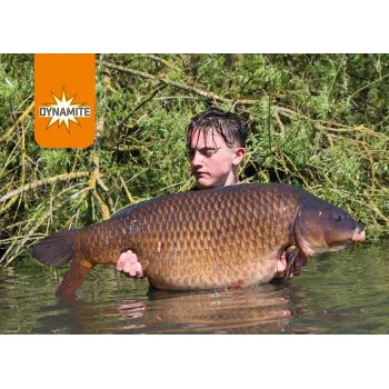 Хранителен микс DYNAMITE BAITS Monster Tiger Nut Stick Mix 1kg