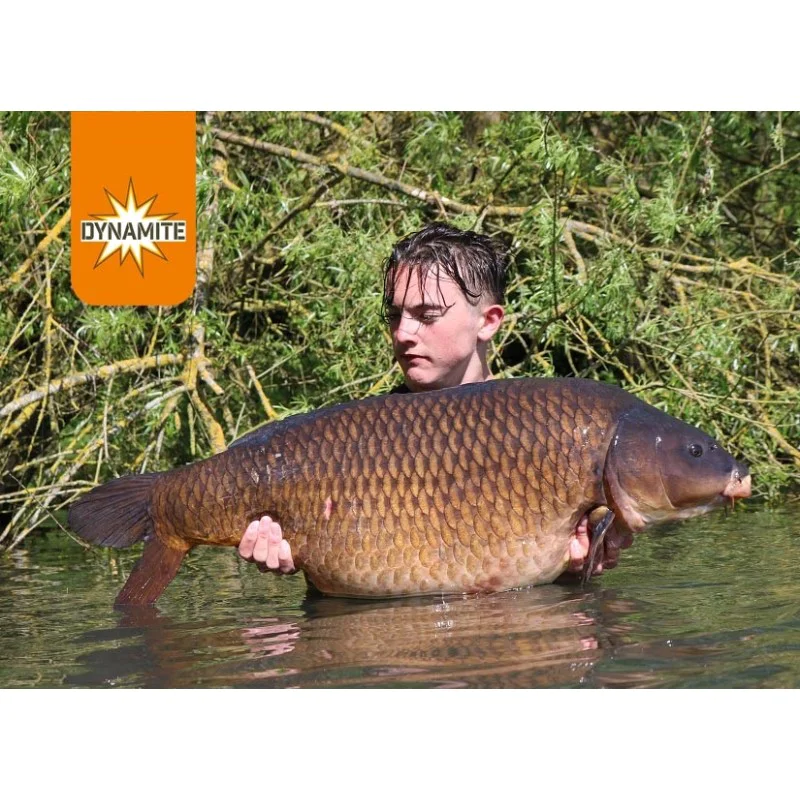 Хранителен микс DYNAMITE BAITS Monster Tiger Nut Stick Mix 1kg