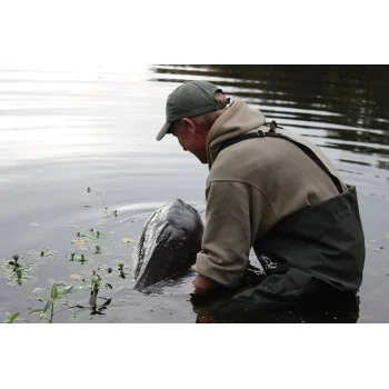 Плуващи DYNAMITE BAITS Red-Amo Pink Fluro Pop-Up