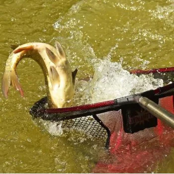 Глава за кеп DYNAMITE BAITS Landing Net