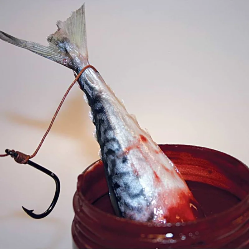 Течен ароматизатор DYNAMITE BAITS Squid Liver Catfish Dip 270ml