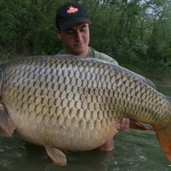 Течен ароматизатор DYNAMITE BAITS The Crave Concentrate Dip 100ml