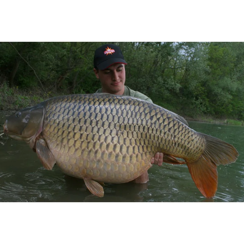 Течен ароматизатор DYNAMITE BAITS The Crave Concentrate Dip 100ml