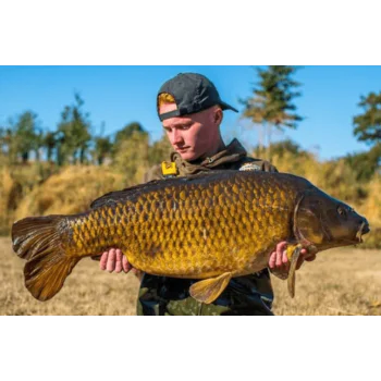 Стръв DYNAMITE BAITS Monster Tiger Nuts Hard Hookbaits 14/15mm