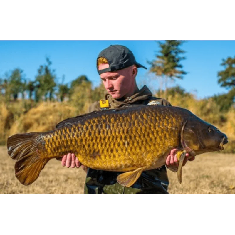 Плуващи дъмбели DYNAMITE BAITS The Crave Fluro Pop-Ups and Dumbells