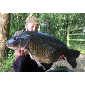 Плуващи топчета DYNAMITE BAITS Coconut Cream Fluro Pop-Up 20mm