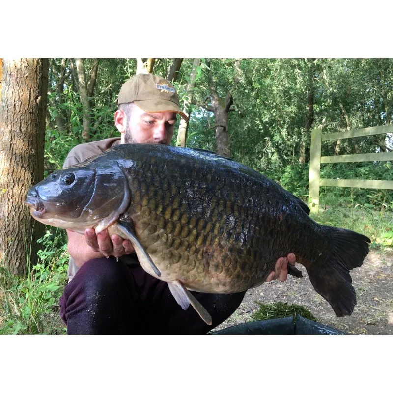 Плуващи топчета DYNAMITE BAITS Coconut Cream Fluro Pop-Up 20mm