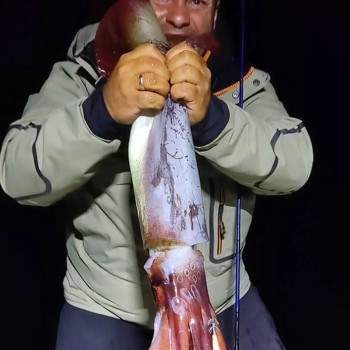 Калмариера IGNESTI Totanara Gamberone Rivestito 4″