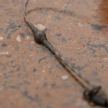 Шаранджийски монтаж FOX Naturals Submerge Heli Rigs 40lb x 3