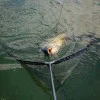 Кеп FOX Horizon X3-S 42" Pole Landing Net